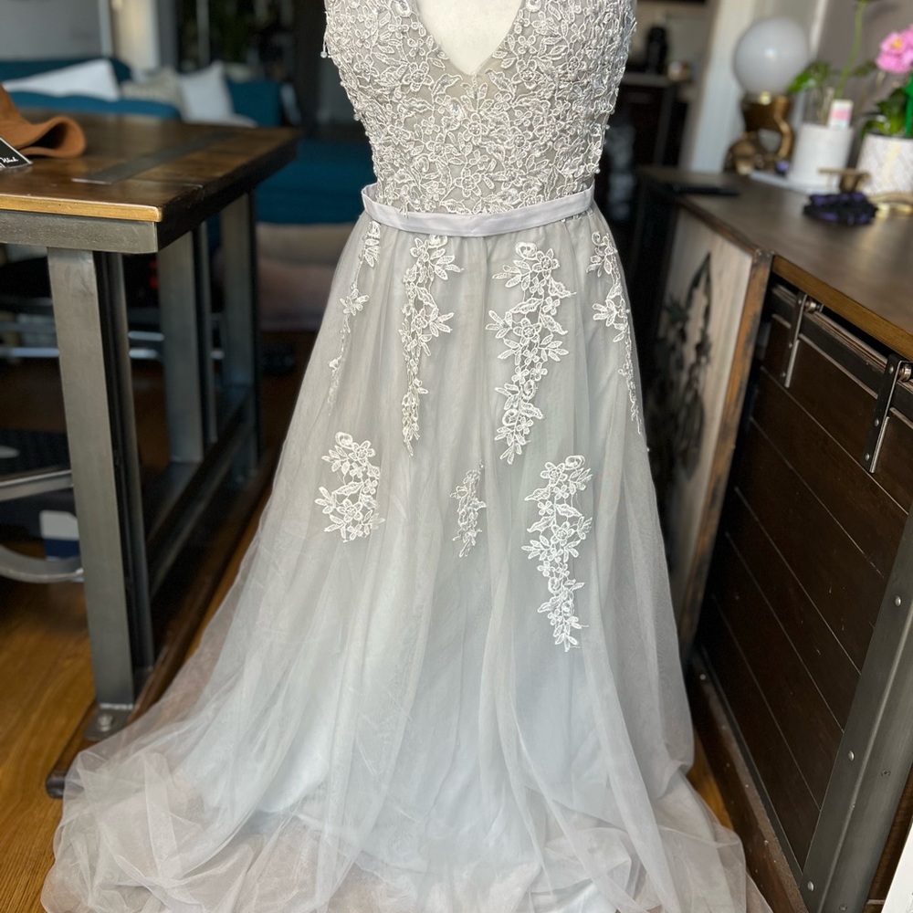 Elegant Lace and Tulle Dress